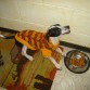 Tardo mas en ponerle el sweater que el en quitarselo. Aqui ya tiene 7 meses